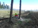 Bild 116